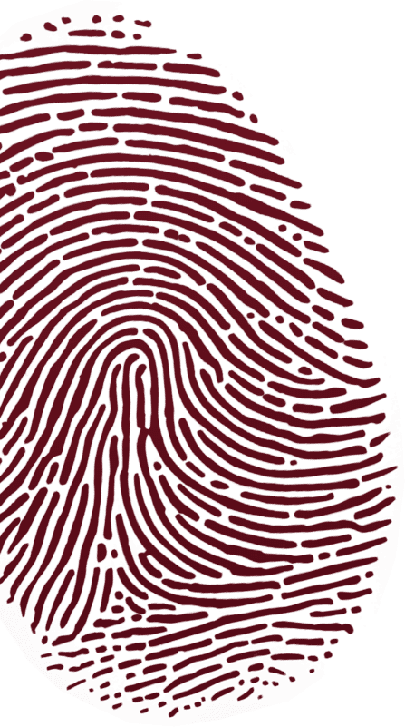 fingerprint decorative